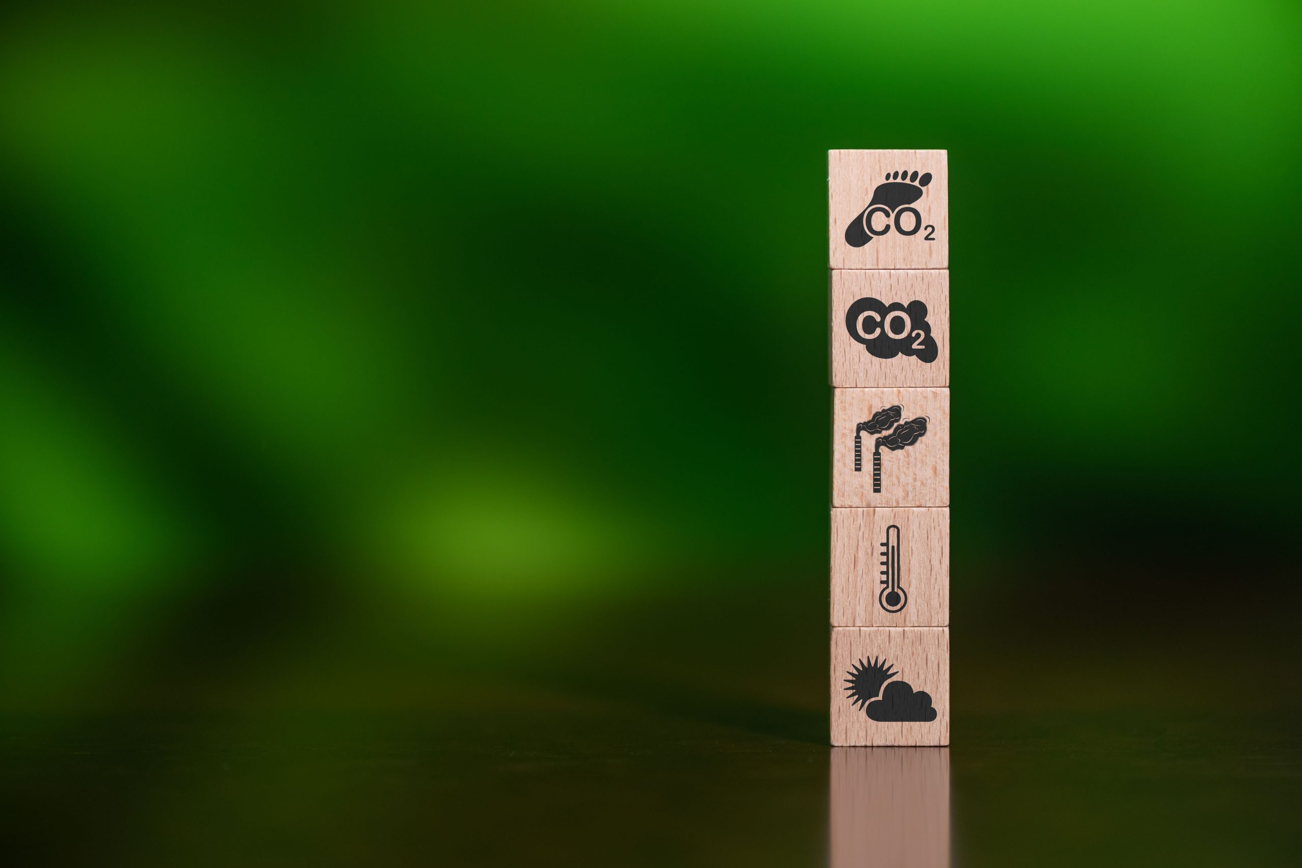 Policy recommendations